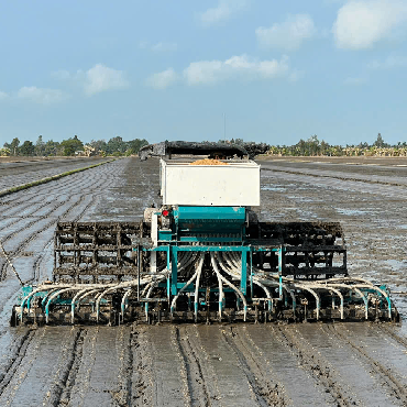 Agriculture and Veterinary Placements